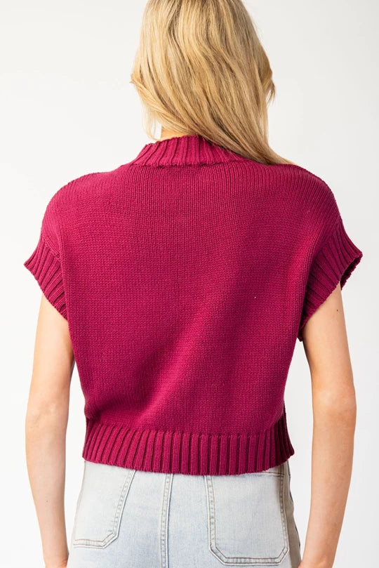 Vino Mock Neck Sweater Top (Plum Wine)